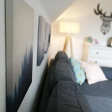 Apartment Heimatglück Winterberg